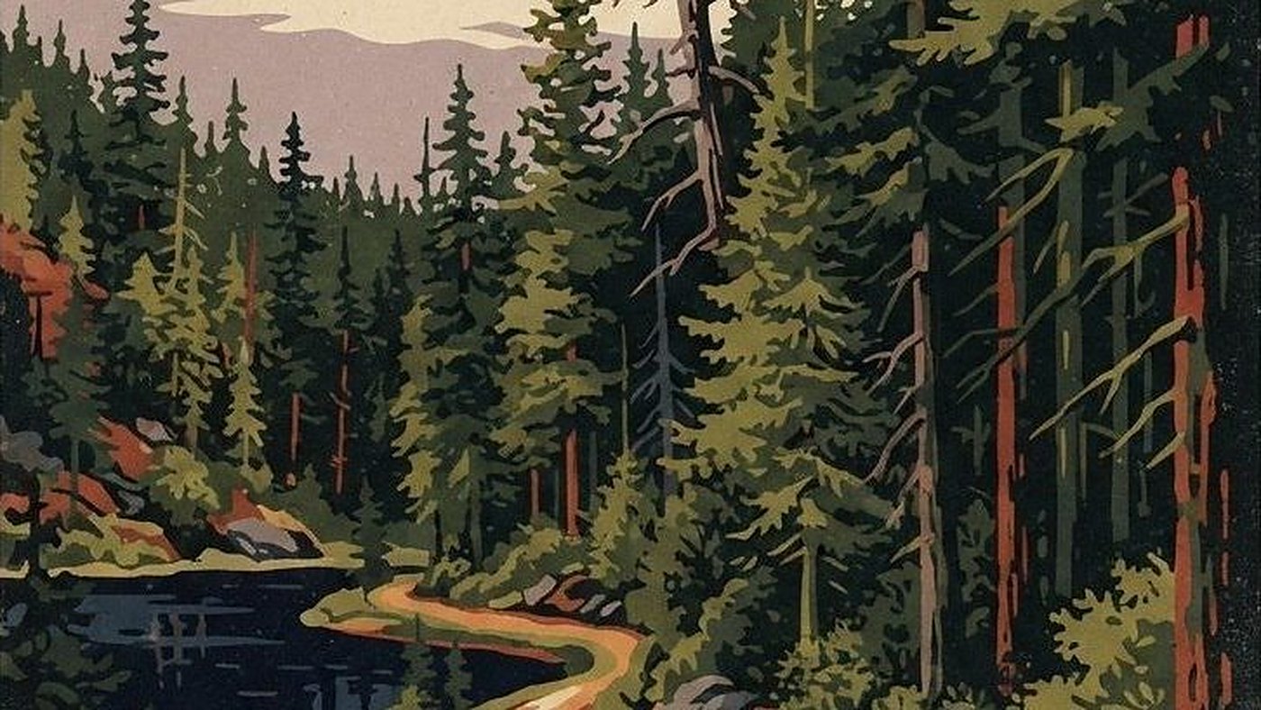 Illustration of Woods Canyon Lake Loop